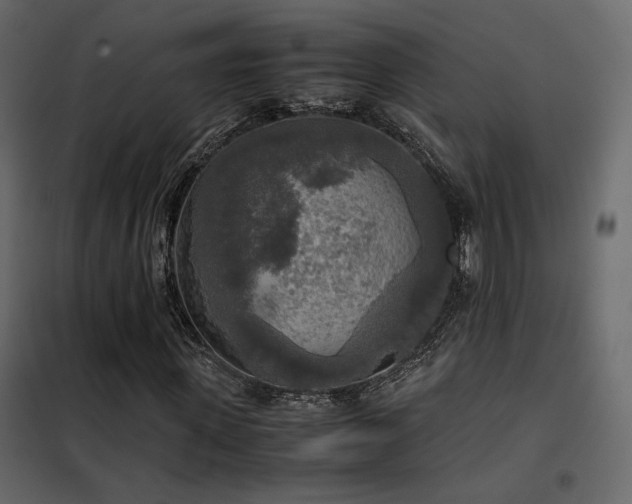 X0000102520915200808081424