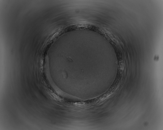 X0000102520916200808081424