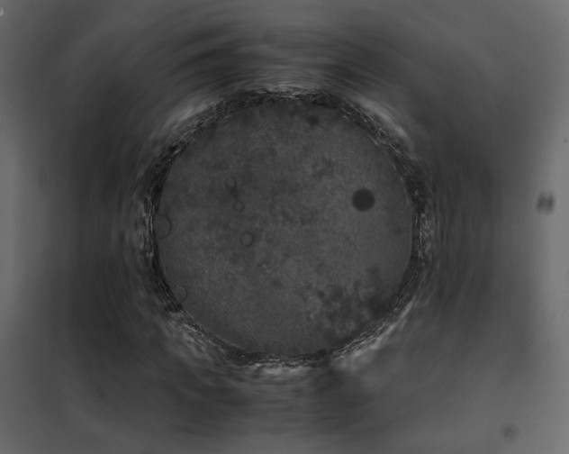 X0000102520917200808081424