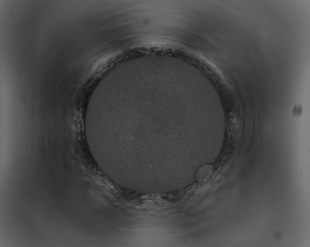 X0000102520918200808081424