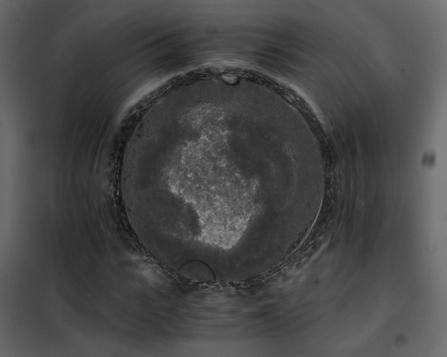 X0000102520919200808081424