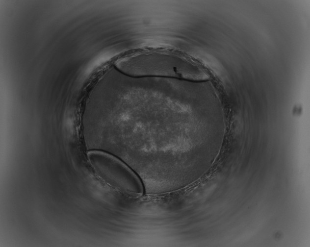 X0000102520920200808081424