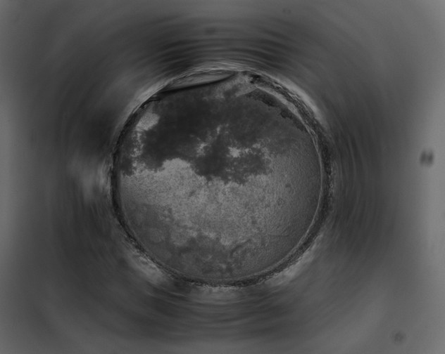 X0000102520921200808081424