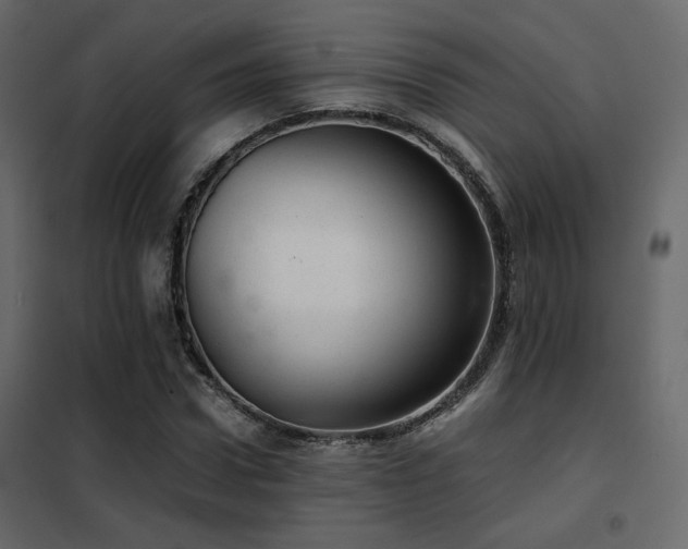 X0000102520922200808081424