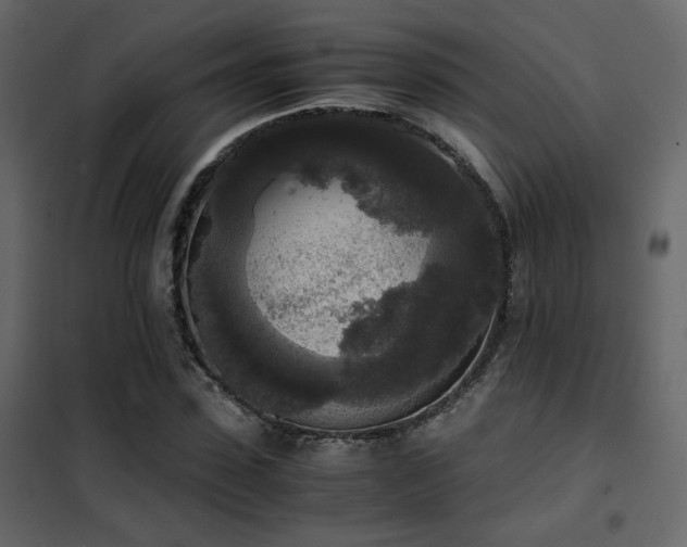 X0000102520923200808081424