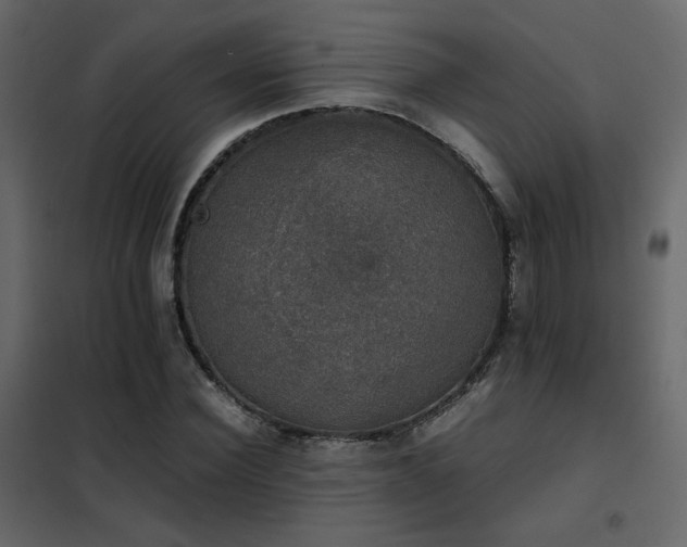 X0000102520924200808081424