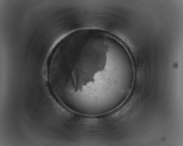 X0000102520925200808081424