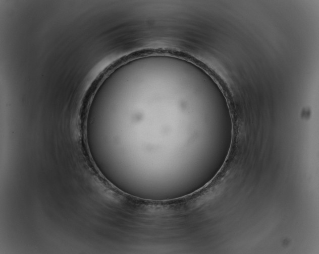 X0000102520927200808081424