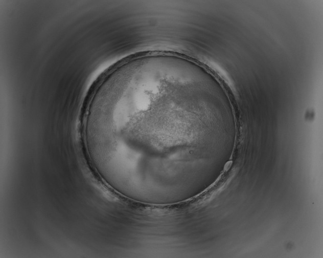 X0000102520928200808081424