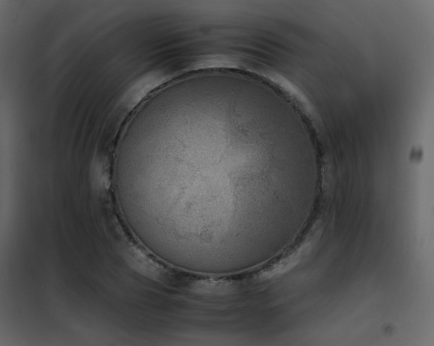 X0000102520929200808081424