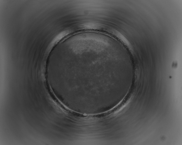 X0000102520930200808081424