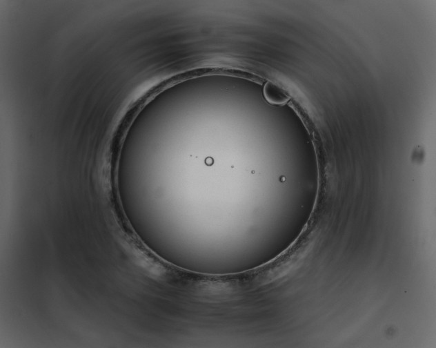 X0000102520931200808081424