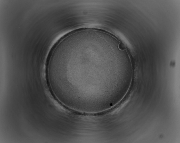 X0000102520932200808081424