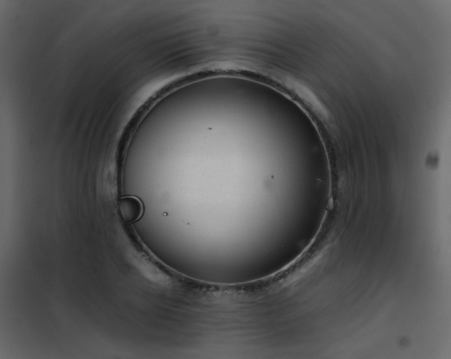 X0000102520934200808081424