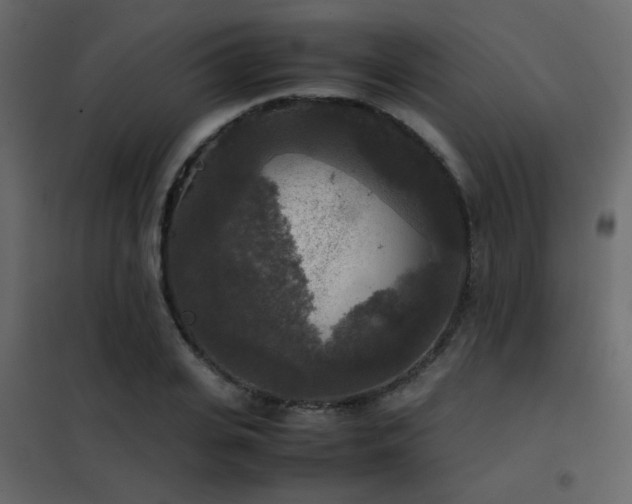 X0000102520935200808081424