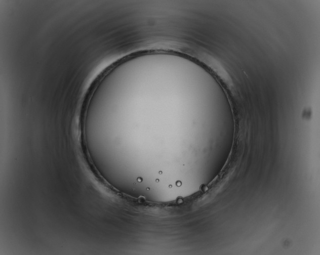 X0000102520936200808081424