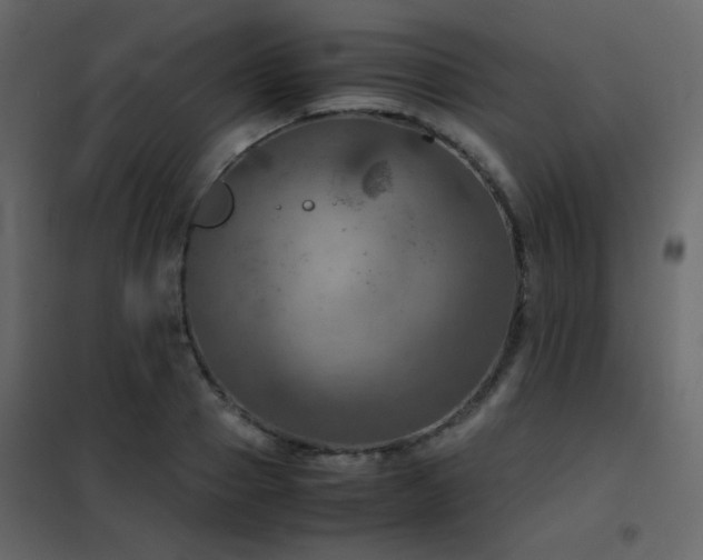 X0000102520937200808081424