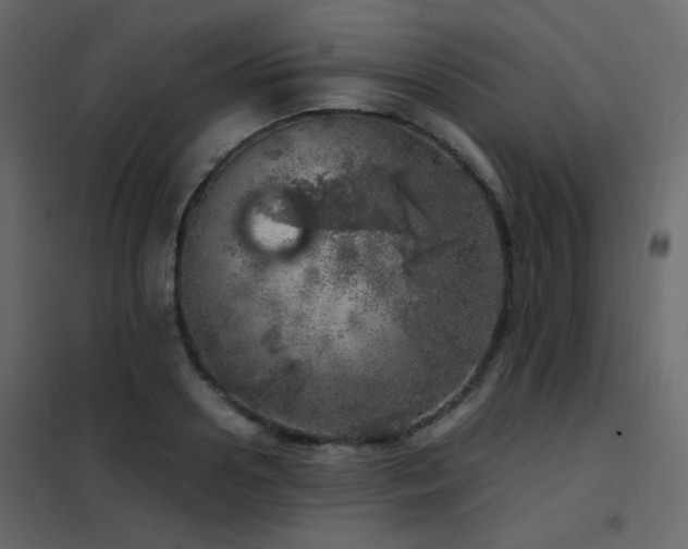 X0000102520938200808081424