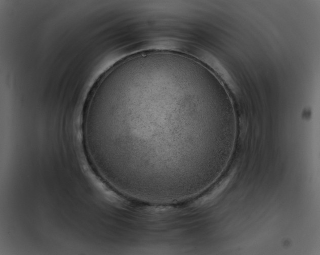 X0000102520939200808081424