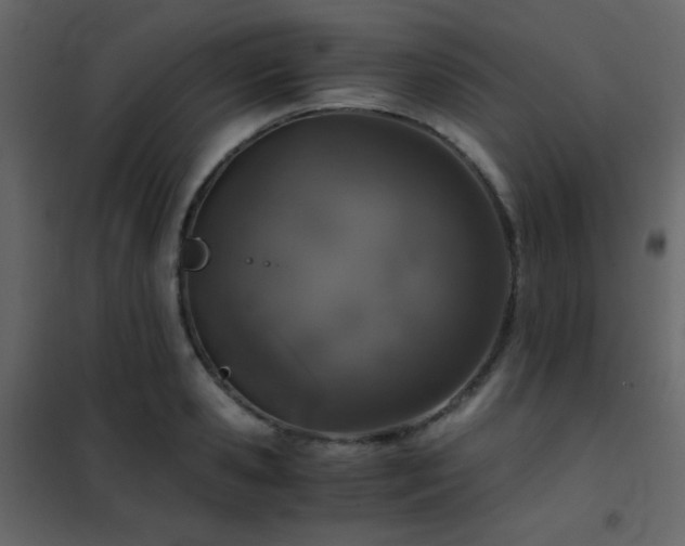 X0000102520941200808081424