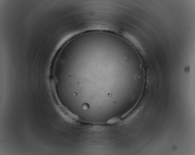 X0000102520942200808081424