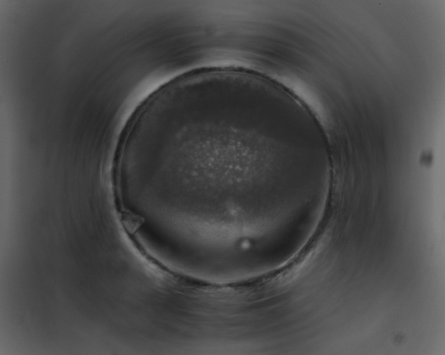 X0000102520943200808081424