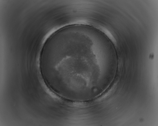 X0000102520944200808081424