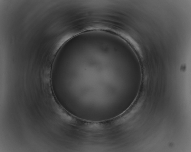 X0000102520945200808081424