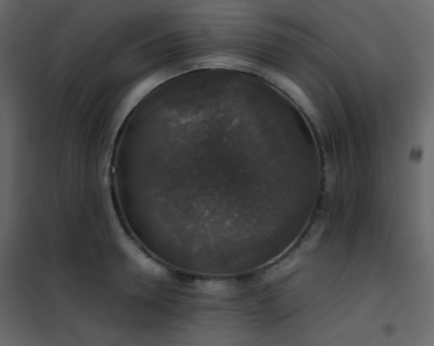 X0000102520946200808081424