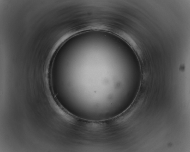 X0000102520947200808081424