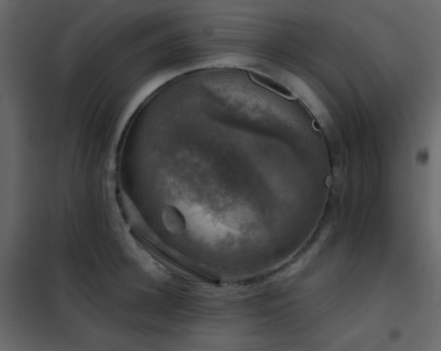 X0000102520948200808081424