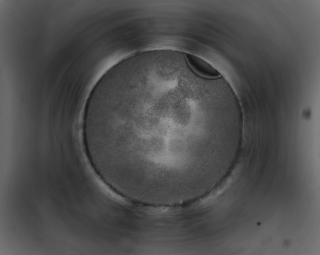 X0000102520949200808081424