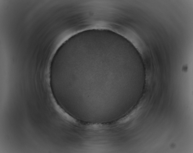 X0000102520950200808081424