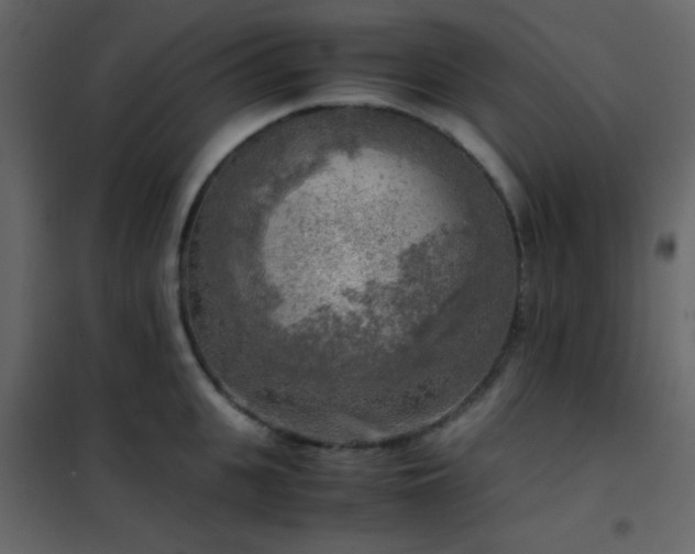 X0000102520951200808081424