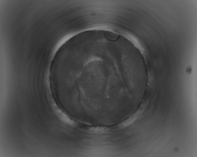 X0000102520952200808081424