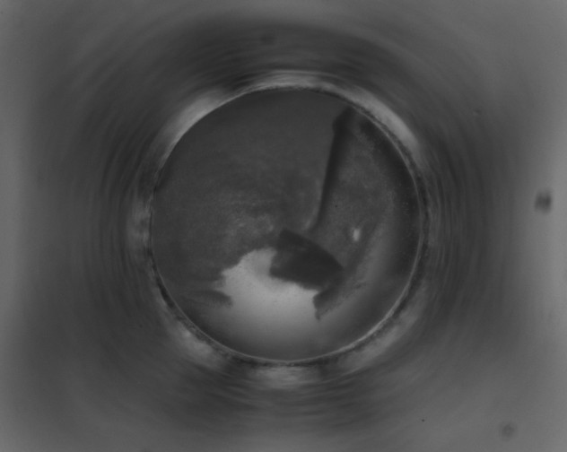 X0000102520953200808081424