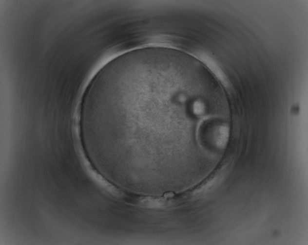 X0000102520955200808081424