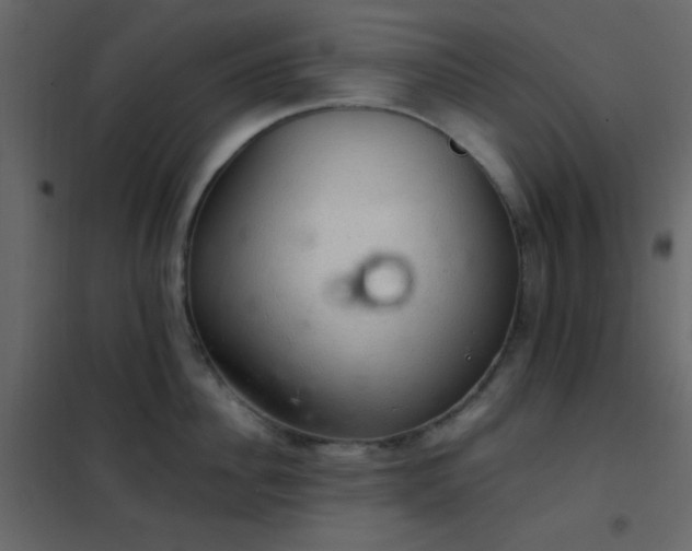 X0000102520956200808081424