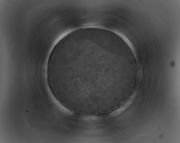 X0000102520957200808081424