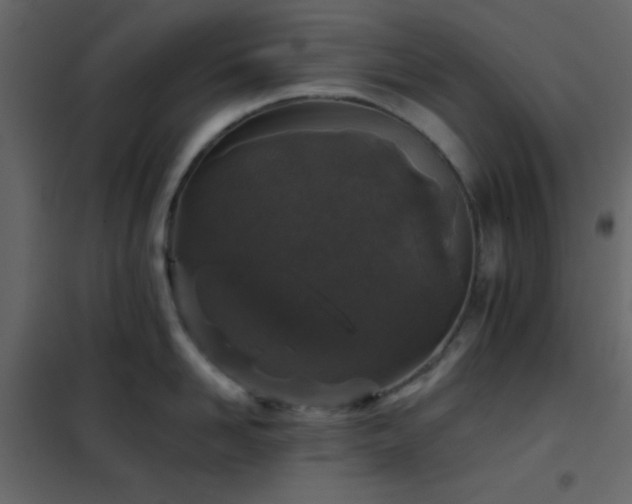 X0000102520958200808081424