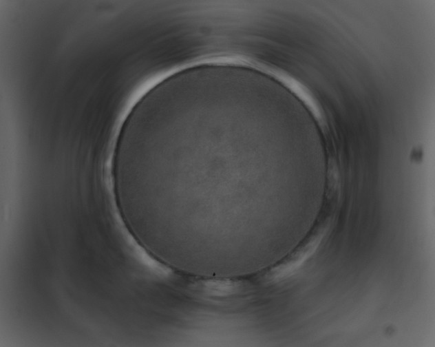 X0000102520959200808081424