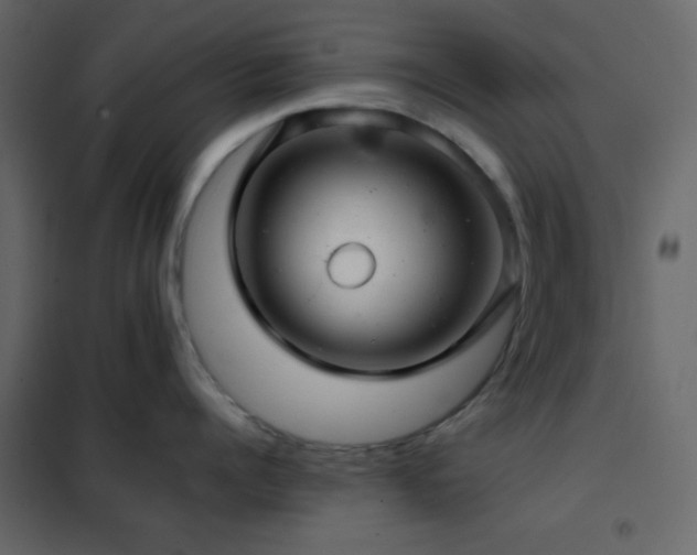 X0000102520960200808081424