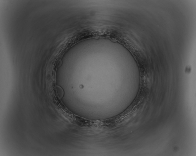 X0000102520961200808081424