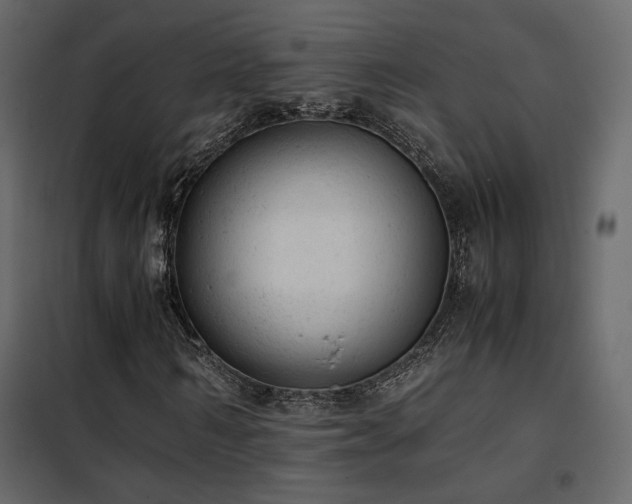 X0000102520962200808081424