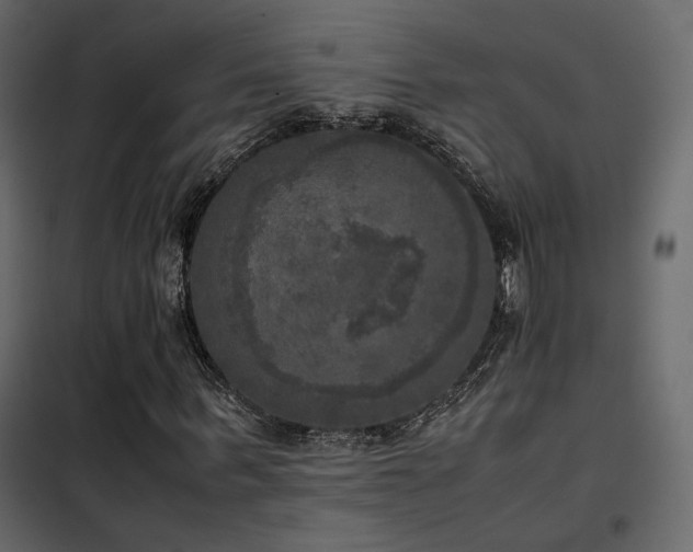 X0000102520963200808081424