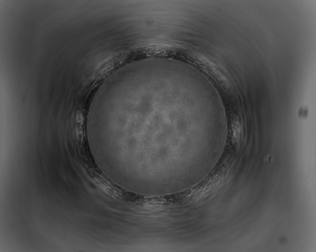 X0000102520964200808081424