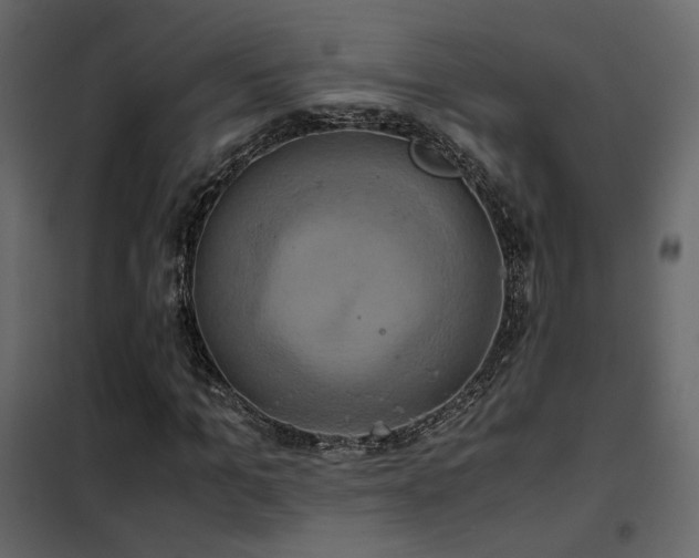 X0000102520965200808081424