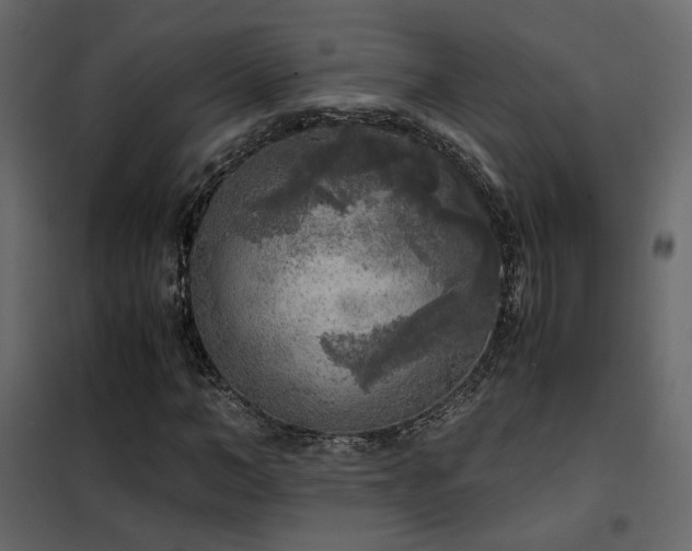 X0000102520966200808081424