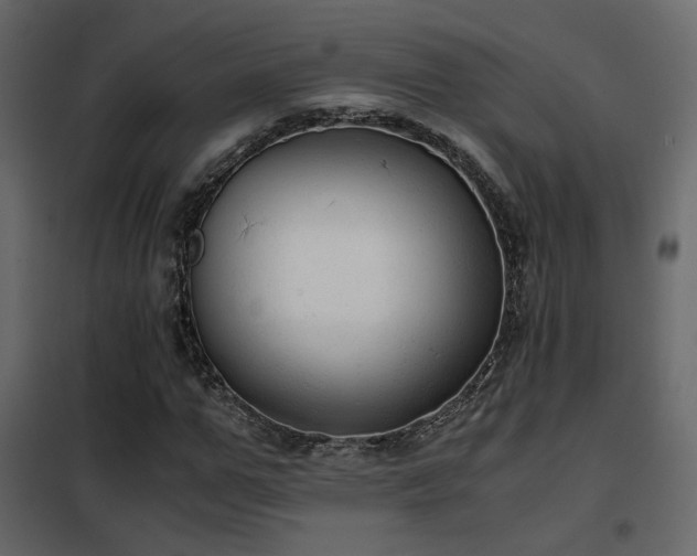 X0000102520967200808081424