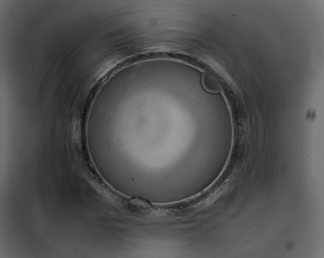 X0000102520969200808081424